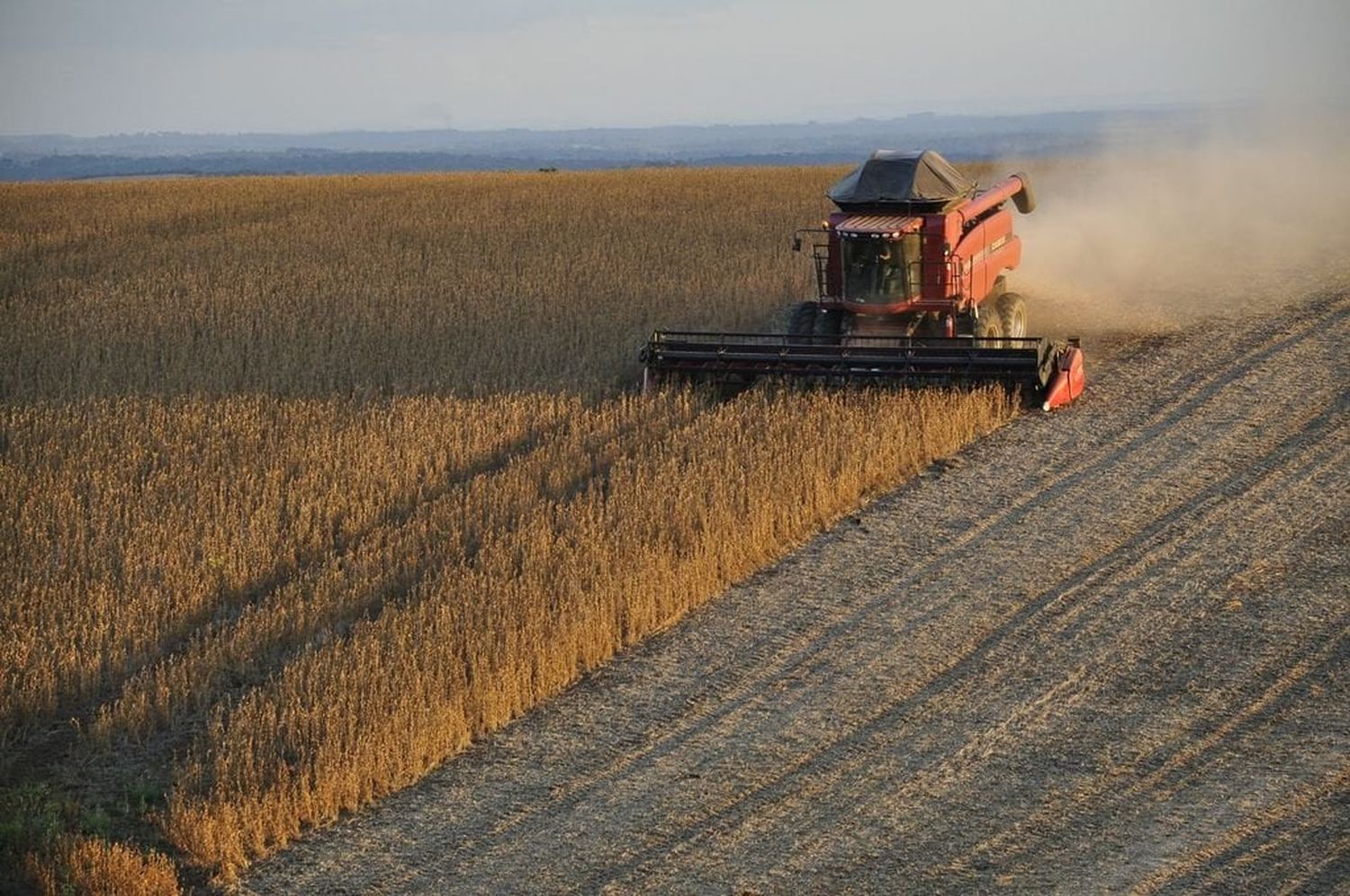 La presencia de El Niño moderado ofrece una oportunidad para mitigar los efectos de la sequía.