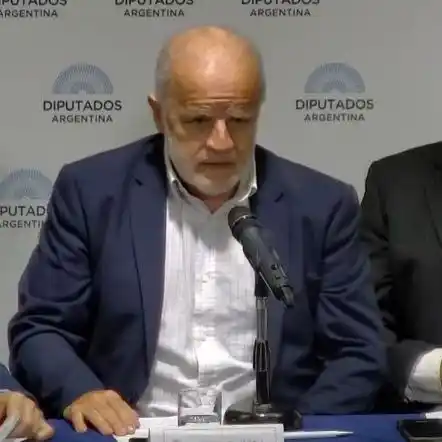 Compendio de la exposición científica sobre Covid y vacunación en Diputados