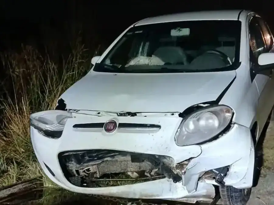 El hecho ocurrió el sábado a la altura del kilómetro 65 de la ruta que une Mar del Plata con Quequén, en la zona de Bellamar.