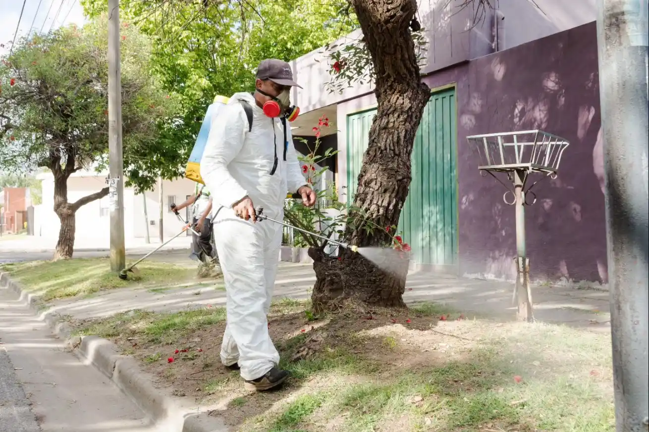 Médicos bonaerenses alertaron por el avance del dengue y exigieron una estrategia nacional