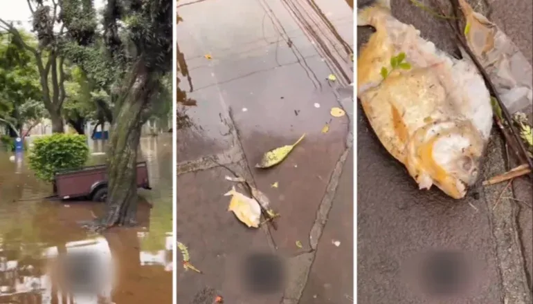 Tragedia en el estado de Río Grande do Sul