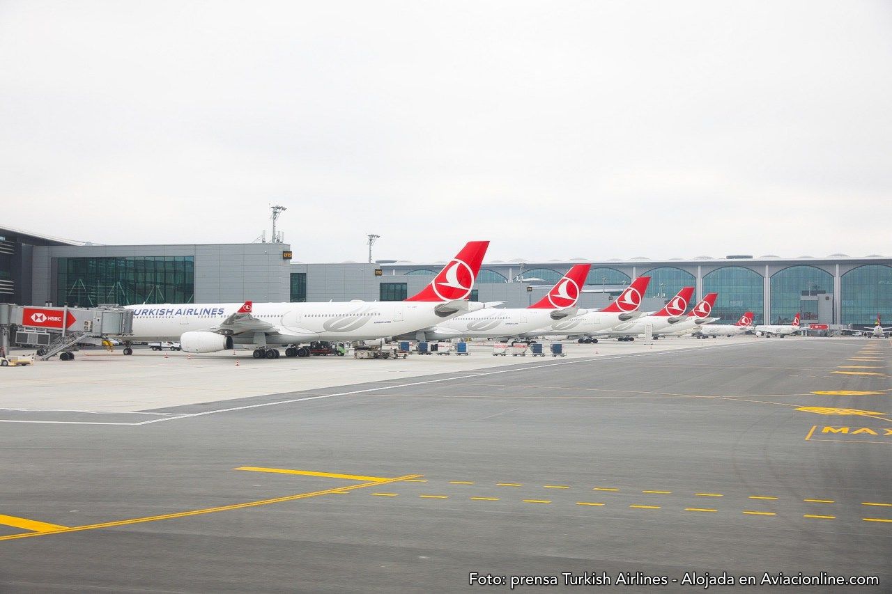 Turkish Airlines suma 14 destinos en cuatro regiones tras un semestre con ganancias