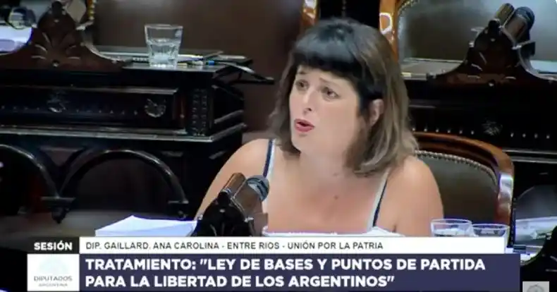 Carolina Gaillard: "Esta ley busca eliminar el Estado"
