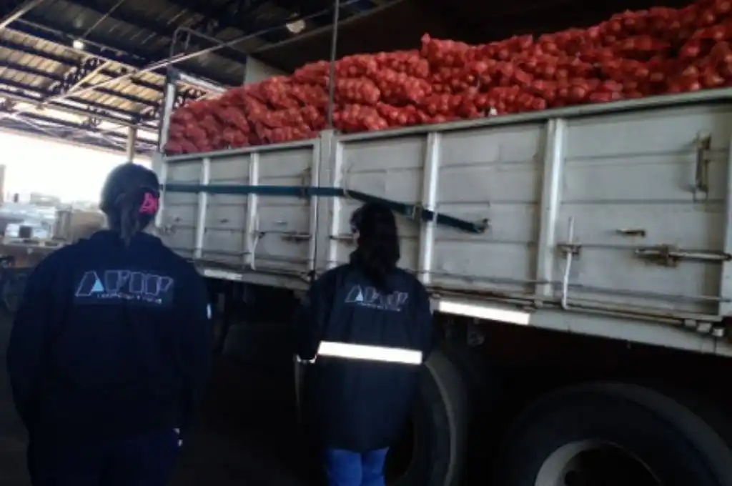 Incautaron 151 toneladas de soja y cebolla valuadas en $11 millones