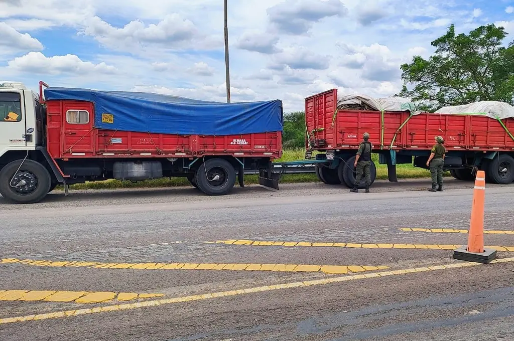 Detuvieron al conductor de un camión con cueros vacunos sin documentación en Ruta 11