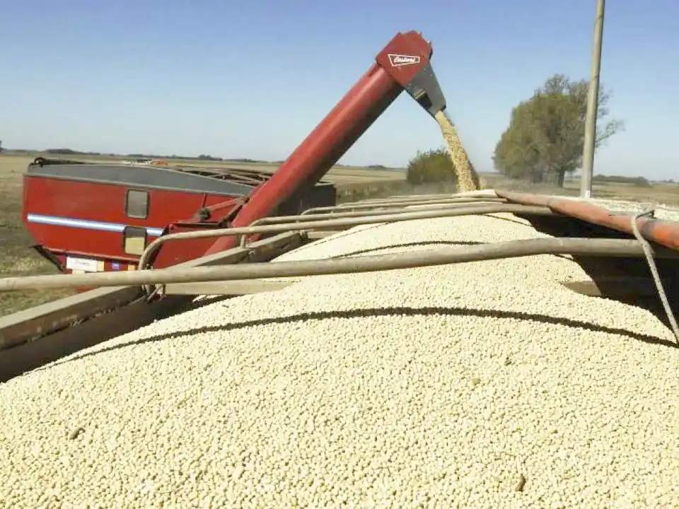 La Argentina tendrá la segunda mejor campaña de cosecha en su historia