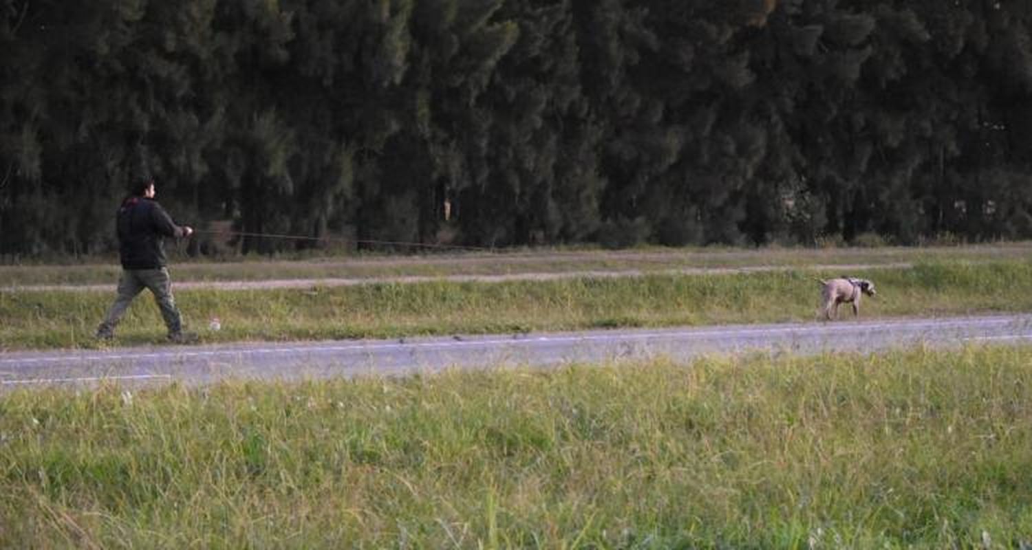 El adiestrador del perro Bruno: el prófugo Romero “estaba acorralado, tenía que entregarse sí o sí”