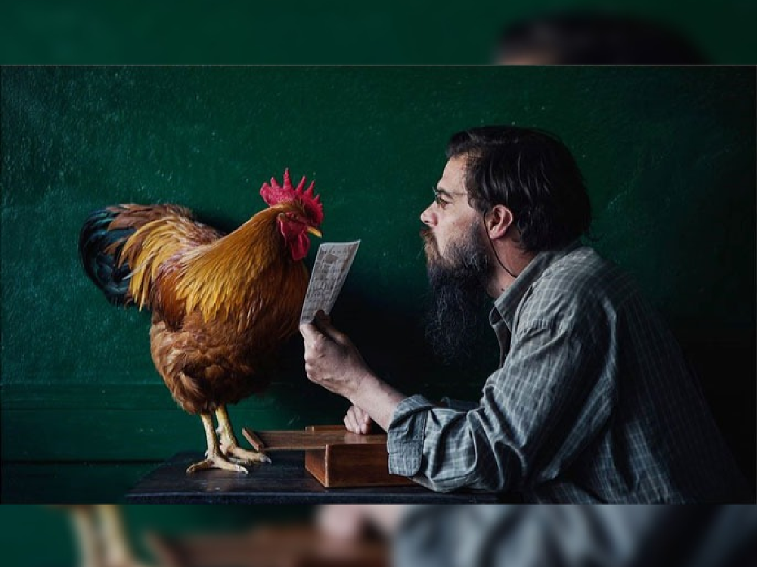 Gallos Rojos: la serie que recopila hitos  populares casi olvidados  de nuestra provincia 