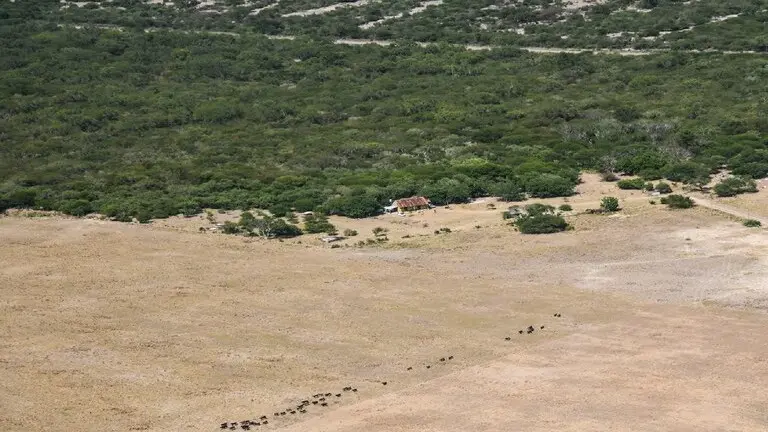 Santa Fe prorrogó la emergencia agropecuaria por la sequía al norte de la provincia