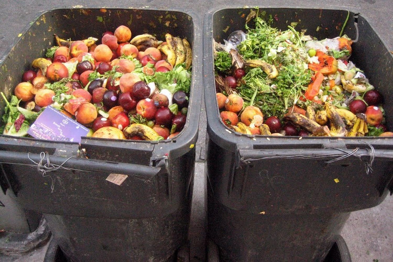 Proponen la creación de un plan provincial de recuperación y donación de alimentos
