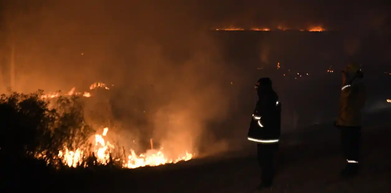 Ordenan la intervención de las Fuerzas Armadas para combatir el fuego en el Delta