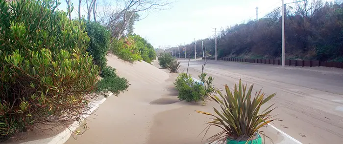 Abandono y arena en el tramo de avenida 2 entre 63 y la escollera
