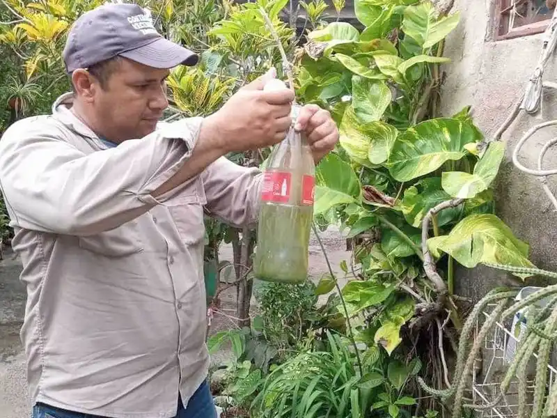 Salud intensifica la vigilancia tras las lluvias
y pide no bajar los brazos en los hogares