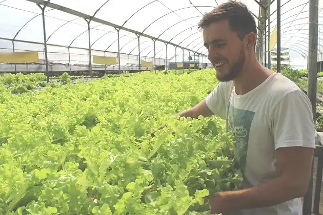 Cultivar alimentos, pero sin tierra