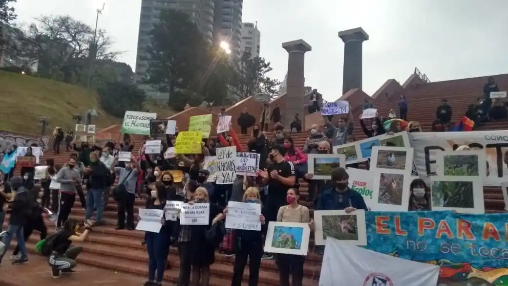 En Rosario un abrazo simbólico al Paraná reclamó el cese de los incendios