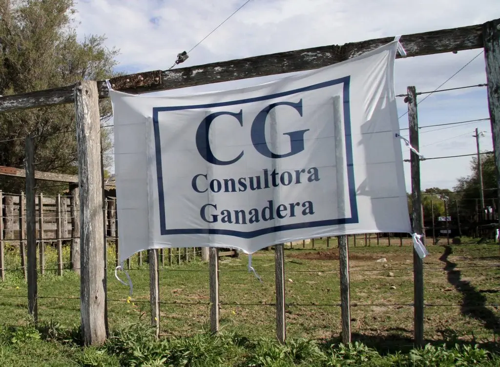 Se va el cuarto “Especial de Otoño” de Consultora Ganadera