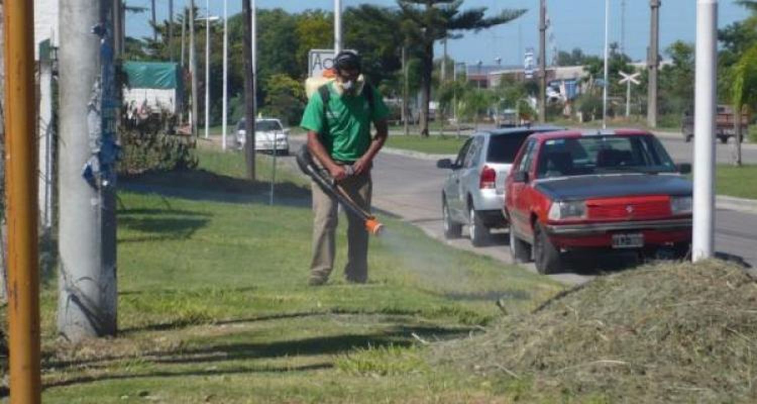Volvieron las fumigaciones