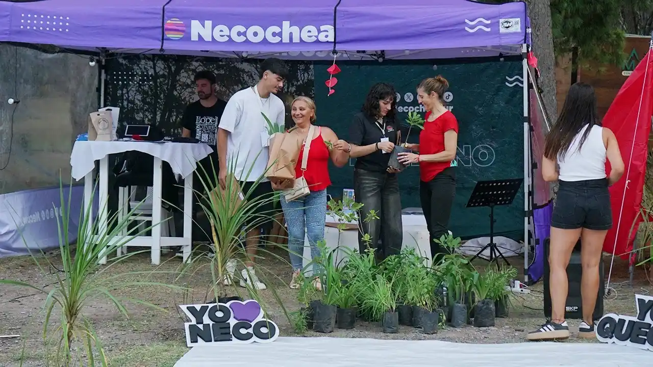 En 10 y Pinolandia. Habrá una actividad de Turismo