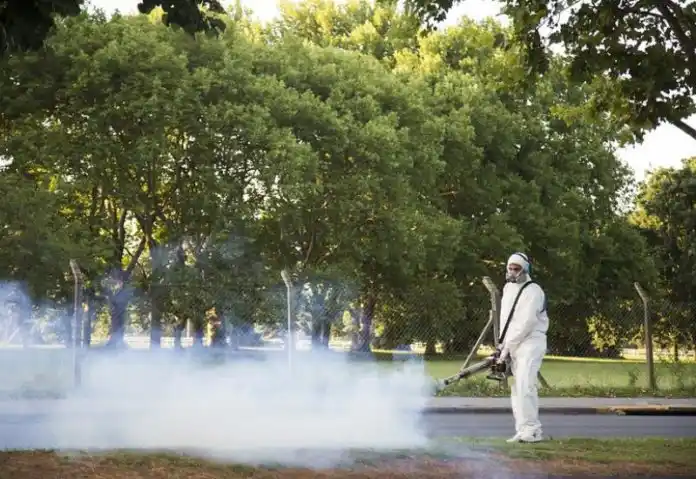 Dengue en la provincia: hubo un salto de casi 500 casos y llegan a 1649
