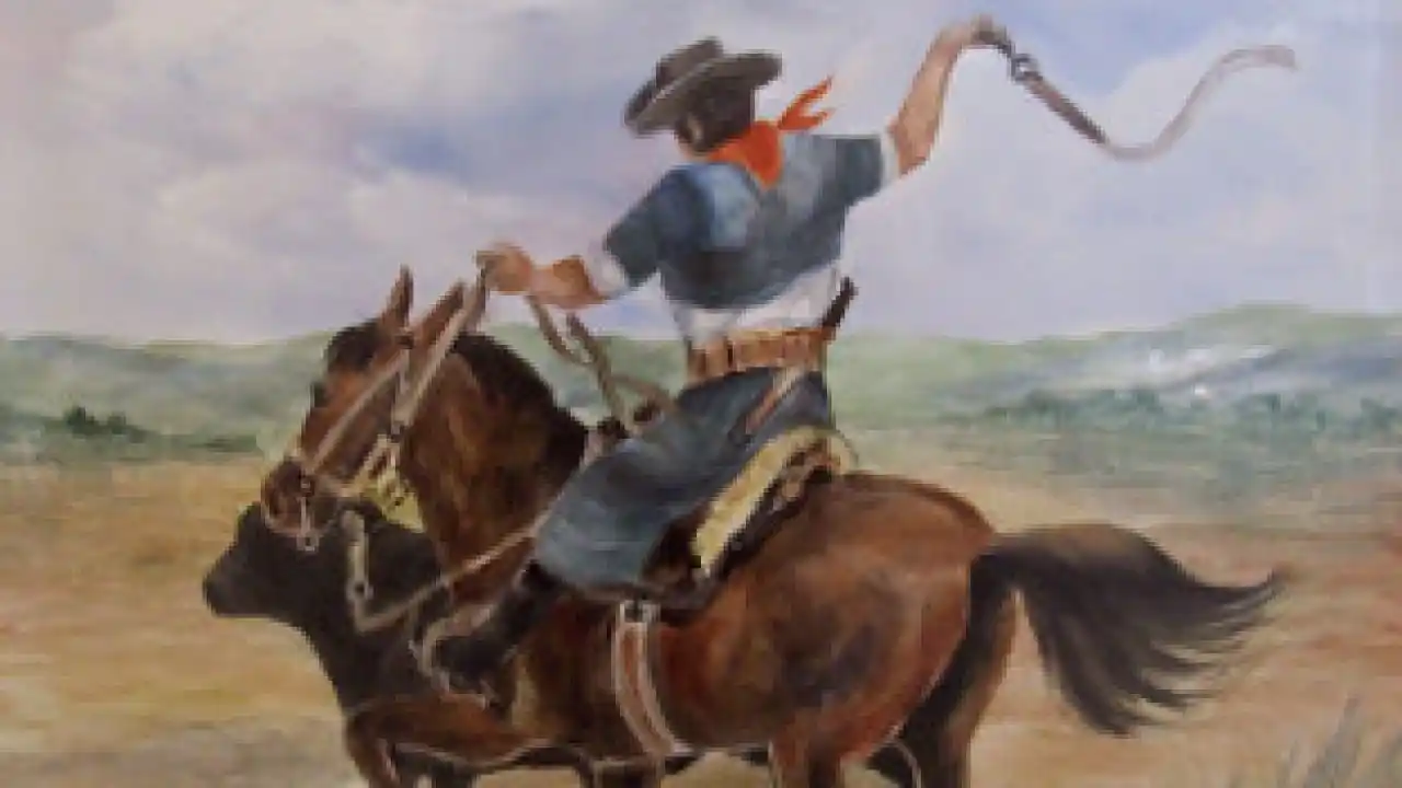 Martín Fierro y el desacuerdo argentino