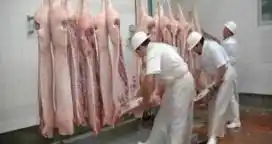 Las importaciones de carne porcina crecieron 110% en el primer cuatrimestre