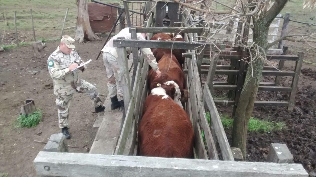 Vendió los animales sin permiso del propietario