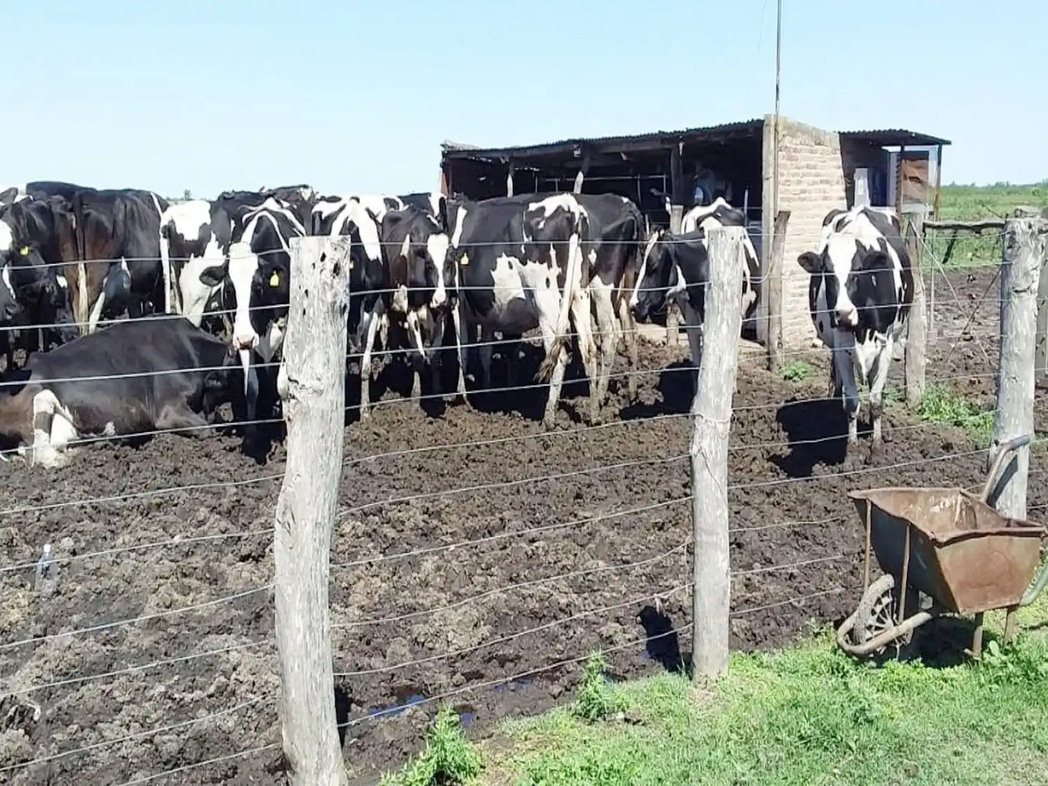 Entre Ríos alcanzó los 4.000 alimentos registrados y consolida su compromiso con la seguridad alimentaria