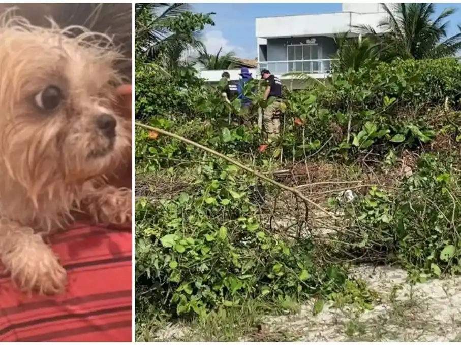 hermanas acecinadas Brasil 3