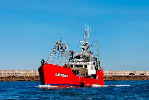 Las fotos del impresionante ejemplar de atún de 165 kilos, capturado entre Mar del Plata y Necochea