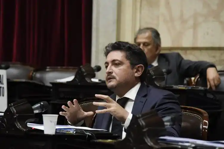 Diputados se refirieron al proyecto de moratoria previsional