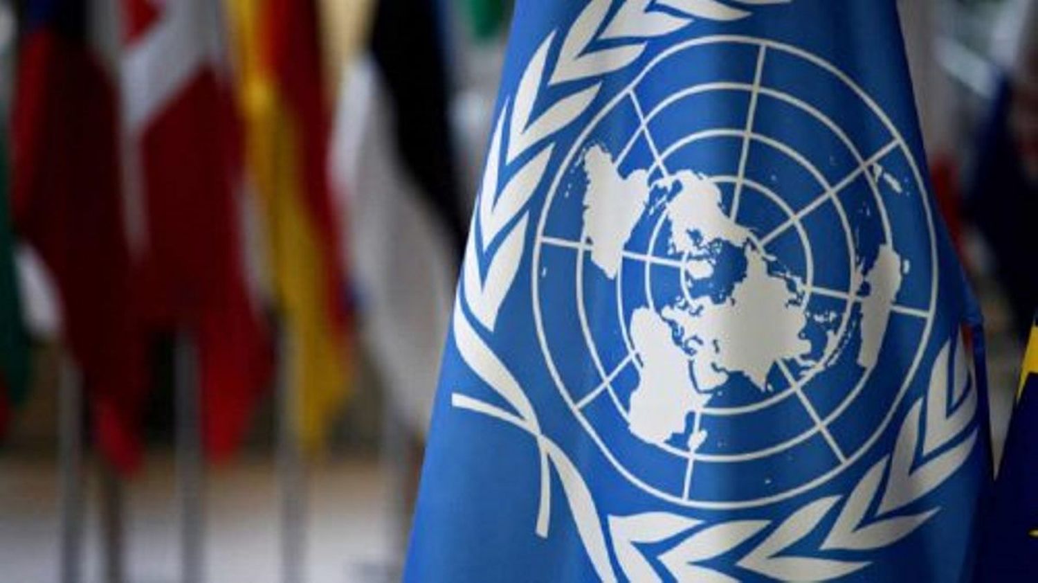 Expertos de la ONU sobre Siria: «Es una oportunidad para un futuro estable y justo»