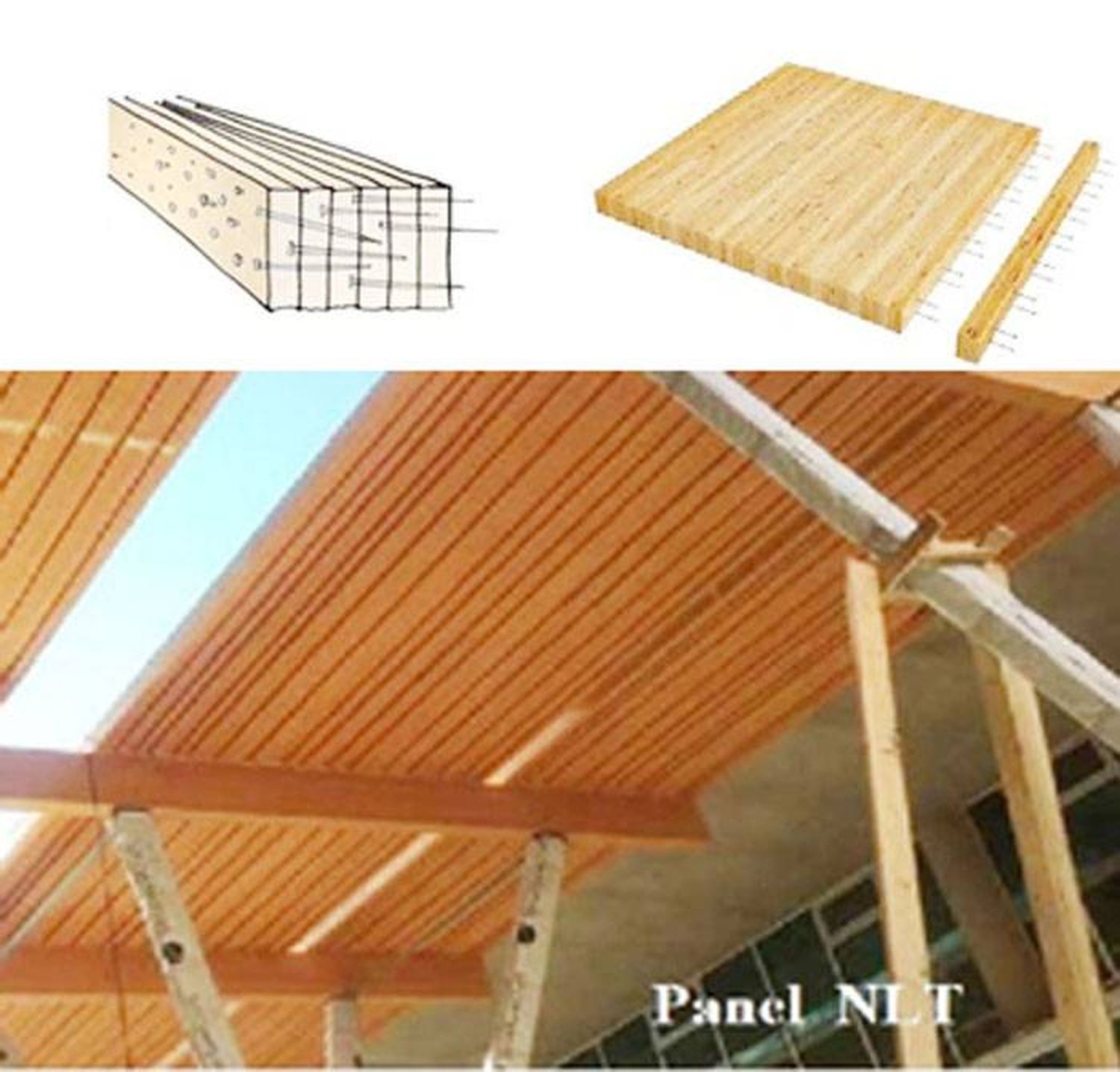 Paneles de tablas NLT- DLT, simples y ecológicos