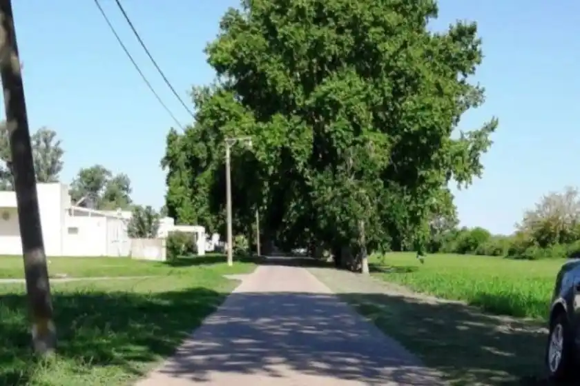 Presos rosarinos se escaparon de psiquiátrico de Oliveros y asaltaron a una mujer