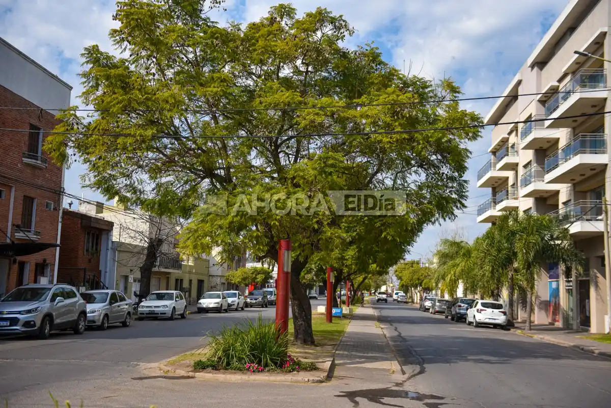 El proyecto 12 árboles por cuadra sigue a la espera de convertirse en ordenanza municipal