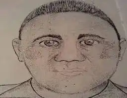 Mar del Plata: Apareció una quinta víctima del violador serial