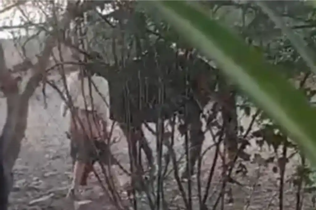 Un testigo grabó la escena con su teléfono y llamó al 911.