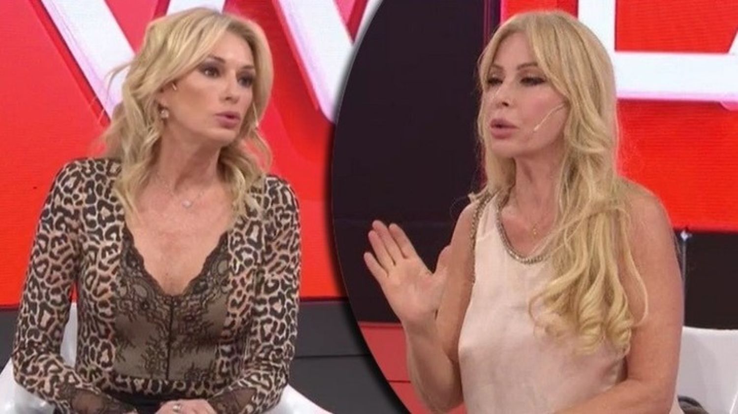 Yanina Latorre reveló su único retoque estético y criticó a Graciela Alfano