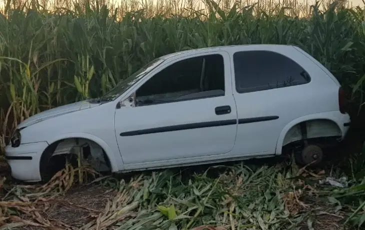 Roban y desarman vehículos