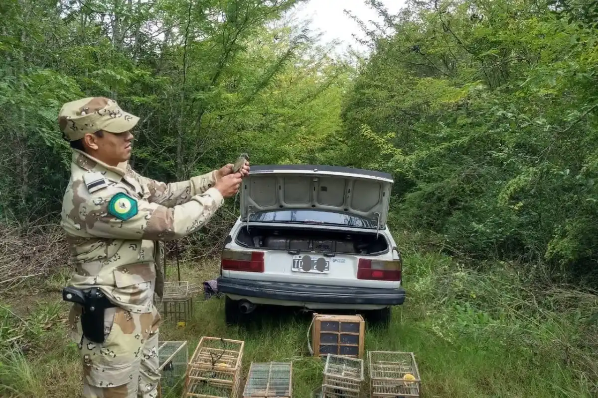 La policía rural incautó aves y redes en el departamento Gualeguaychú