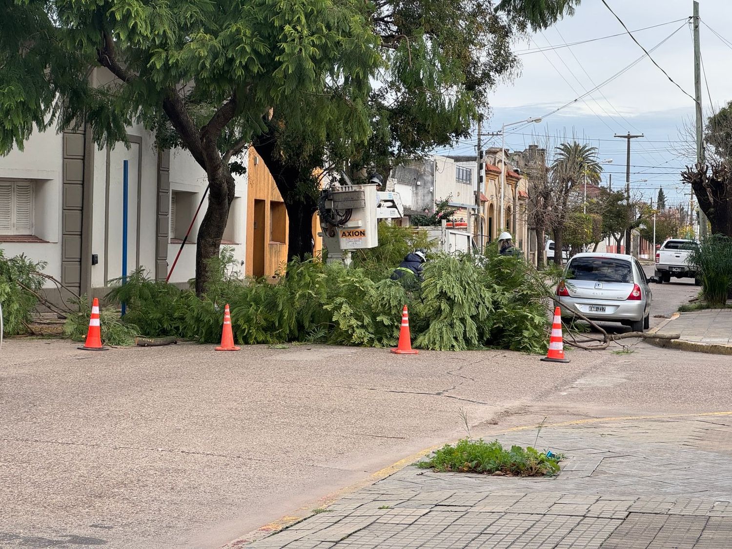Tránsito cortado en 25 de Mayo y Liniers por trabajos de poda