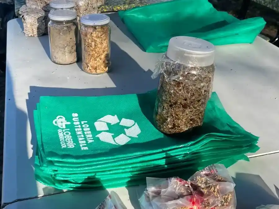 Ecología. En el mes del ambiente se llevaron a cabo diferentes acciones en Lobería