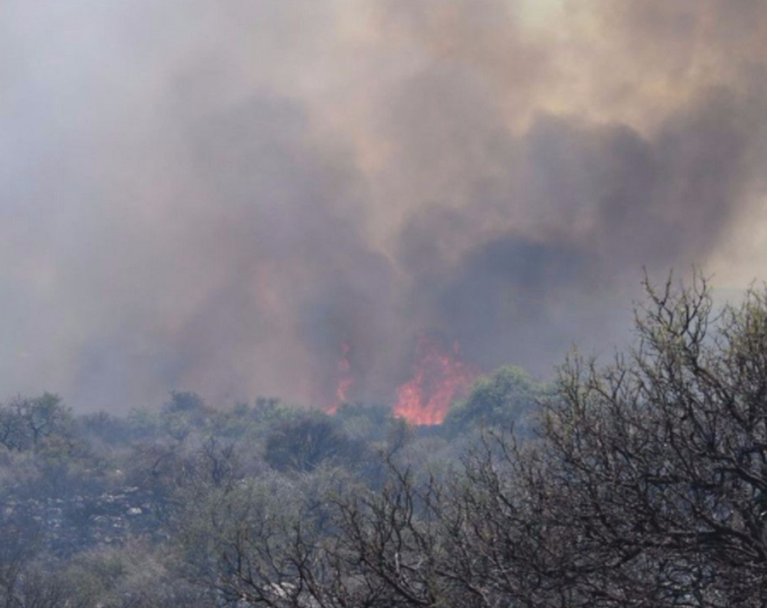 Se incendia el Parque General San Martín de Paraná