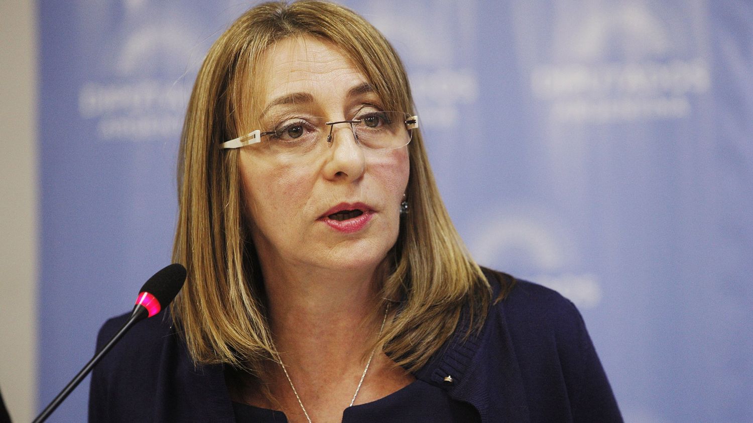 Gils Carbó llega hoy a Gualeguaychú: dará una charla sobre justicia y equidad de género