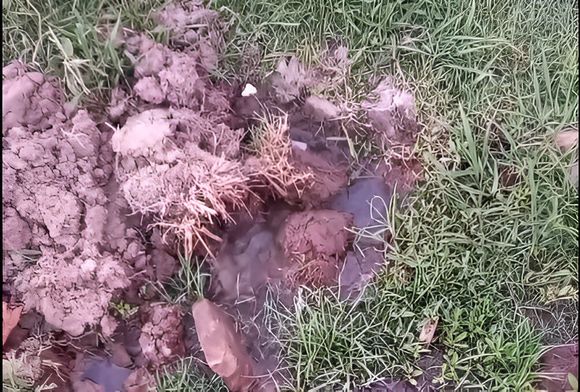 Caño roto en Italia y Litoral: sólo arreglaron enfrente