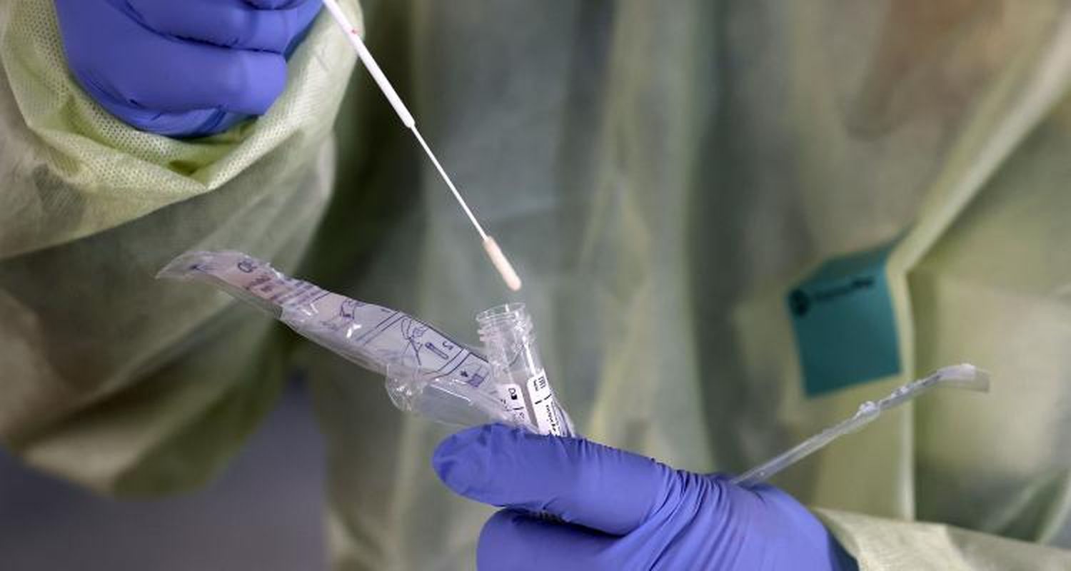 Coronavirus: Con 15 nuevos positivos, San Pedro alcanzó los 1010 contagios desde el comienzo de la pandemia