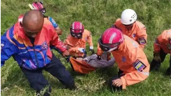 ¡ABEJAS ASESINAS! Murió septuagenario producto de picaduras en el estado Táchira (+Fotos)