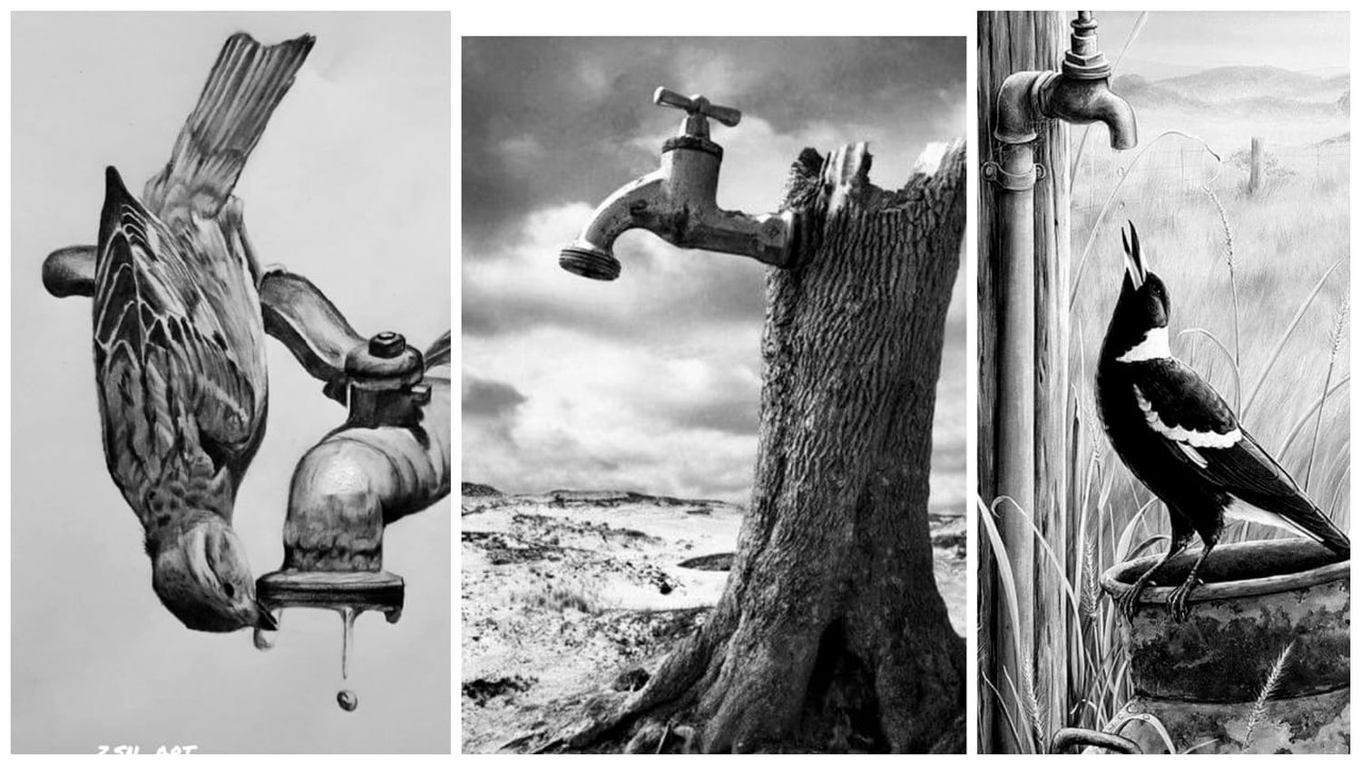 Tres nuevos murales celebran el medioambiente y la identidad cultural