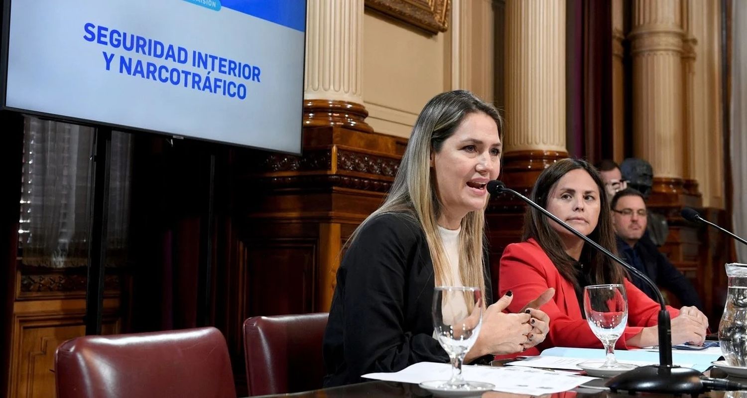 Tras ser designada al frente de la Comisión de Seguridad Interior y Narcotráfico, Carolina Losada agradeció a sus pares y prometió darle "celeridad" al tratamiento de proyectos. Foto: Senado de la Nación.