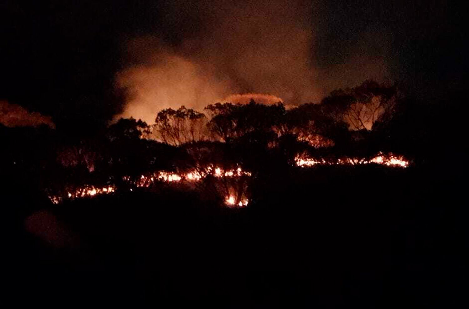 Un impresionante incendio de malezas alertó a los vecinos de Batán