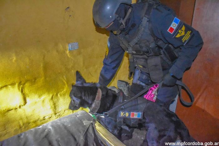 condenaron narcotraficantes san francisco - 1